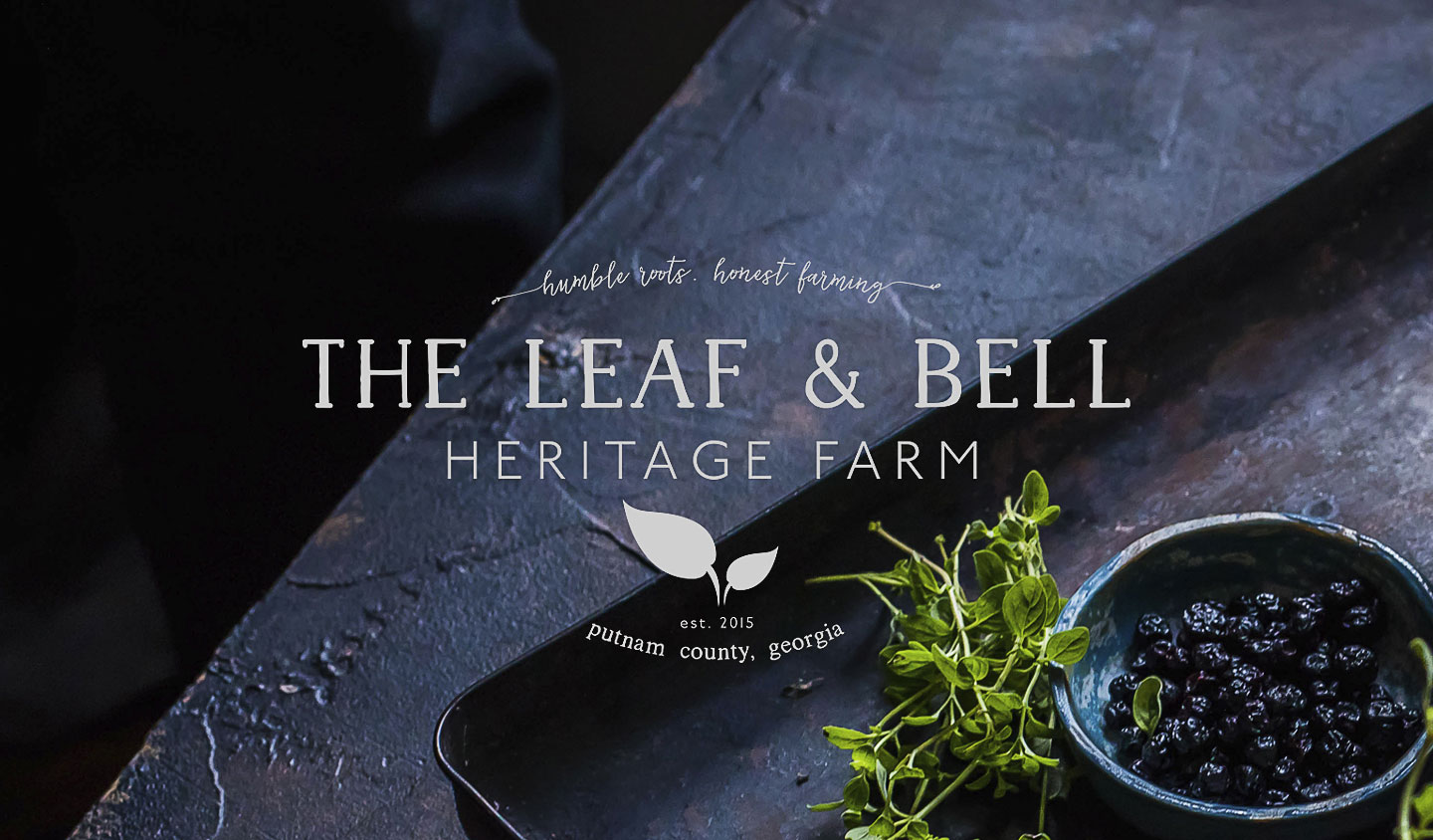 The Leaf And Bell Logo Design & Brand-Identity by Rebecca Snyder of A LA MODE designs, an award-winning graphic design studio serving Columbus, Cleveland, Akron & Canton, Ohio.