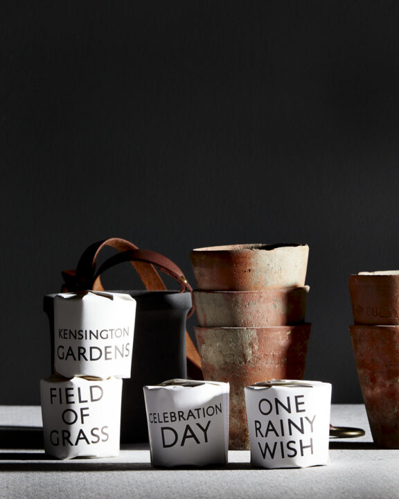 Still-life of Tatine “Tisane” collection packaging with labeled boxes (“Kensington Gardens,” “Field of Grass,” “Celebration Day,” “One Rainy Wish”); award-winning package design by Rebecca Snyder, A LA MODE designs.