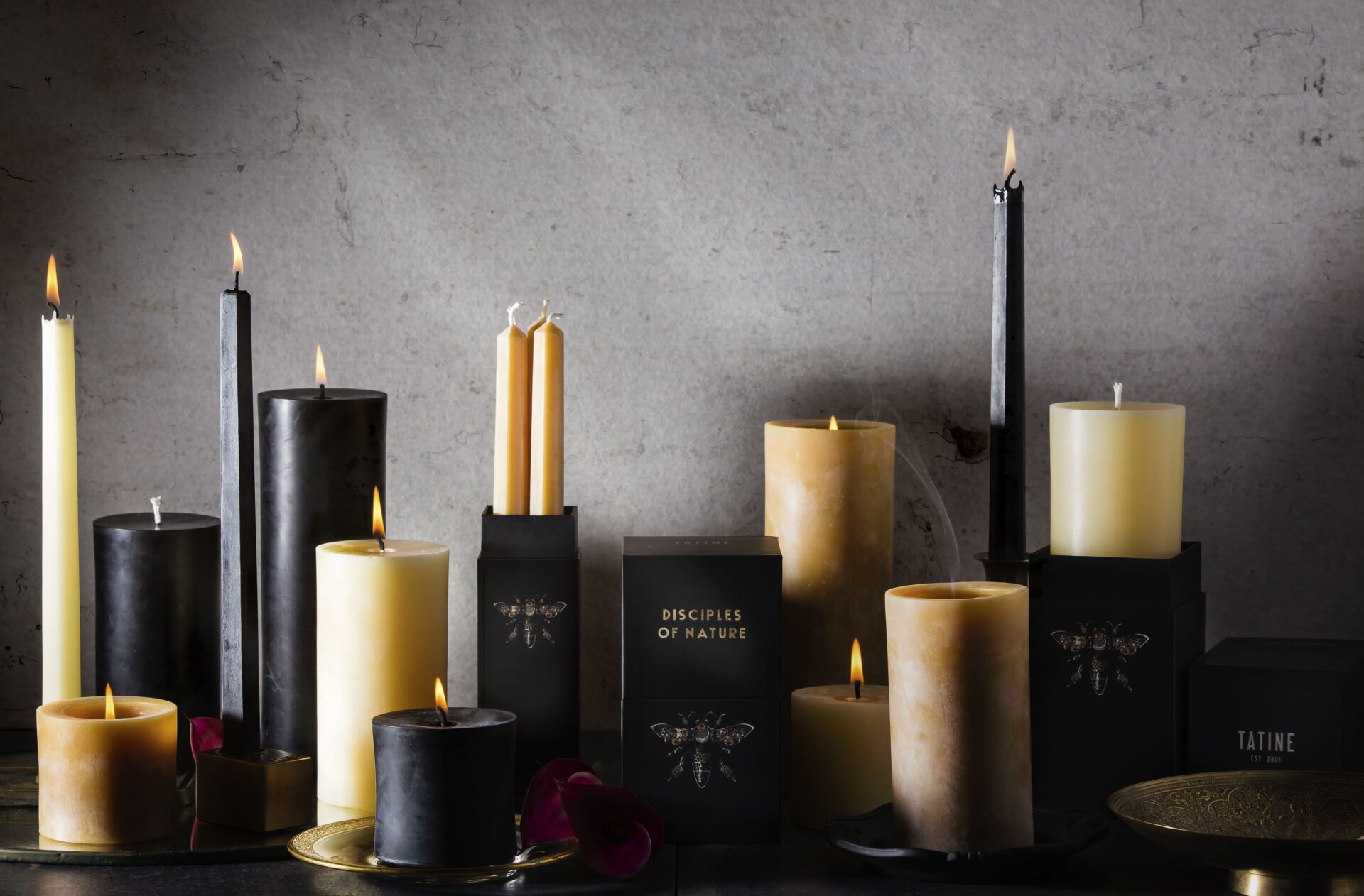 Styled product photo of Tatine’s ‘Disciples of Nature’ candle collection—lit black and ivory tapers and pillar candles arranged beside branded boxes on a dark tabletop against a gray wall. Package design by Rebecca Snyder, an award winning graphic designer for A LA MODE designs, located in Canton, Ohio.