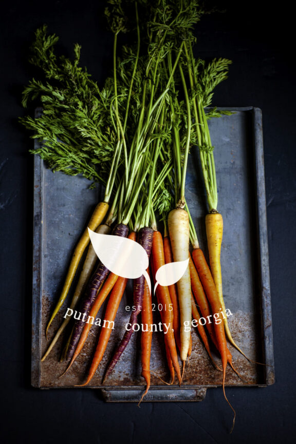 Leaf+Bell emblem overlay on a photo of multicolored carrots with greens on a metal tray, with text “est. 2015” and “putnam county, georgia. Branding services provide by A LA MODE designs. Rebecca Snyder, lead designer and owner.
